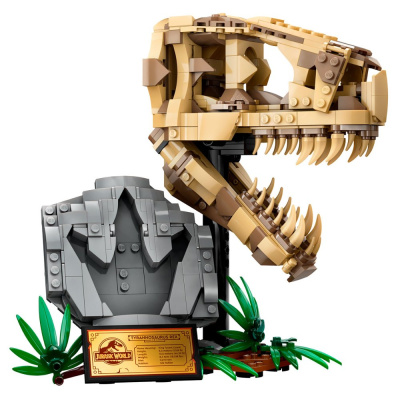 Конструктор Lego Jurassic World 76964 Окаменелости динозавров: череп Ти-Рекса 01